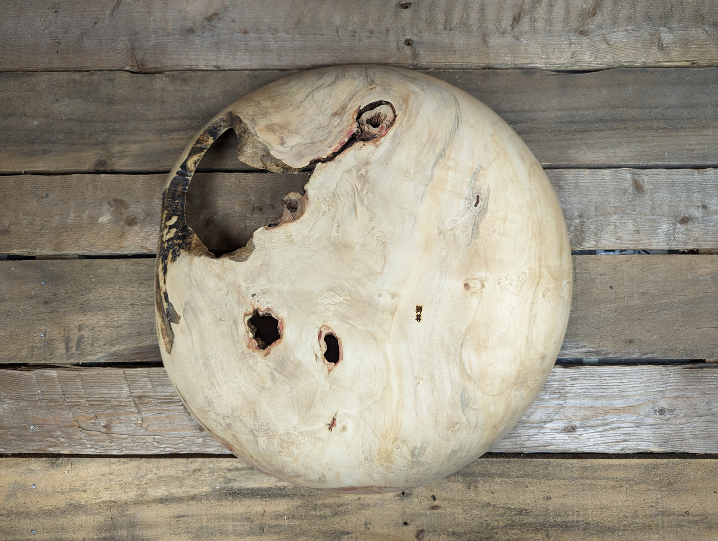 Rustic cottonwood platter