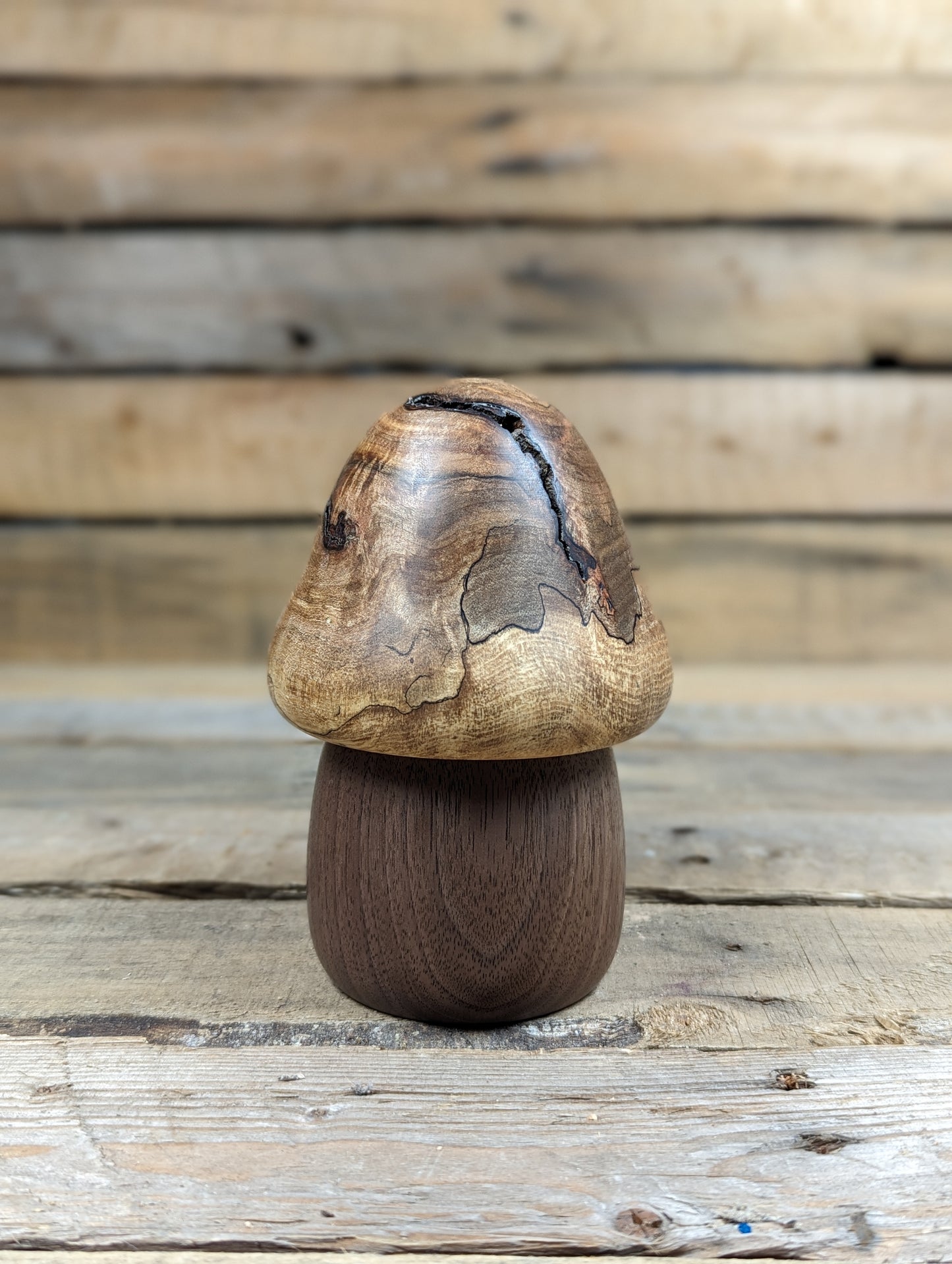 Gnome home 3