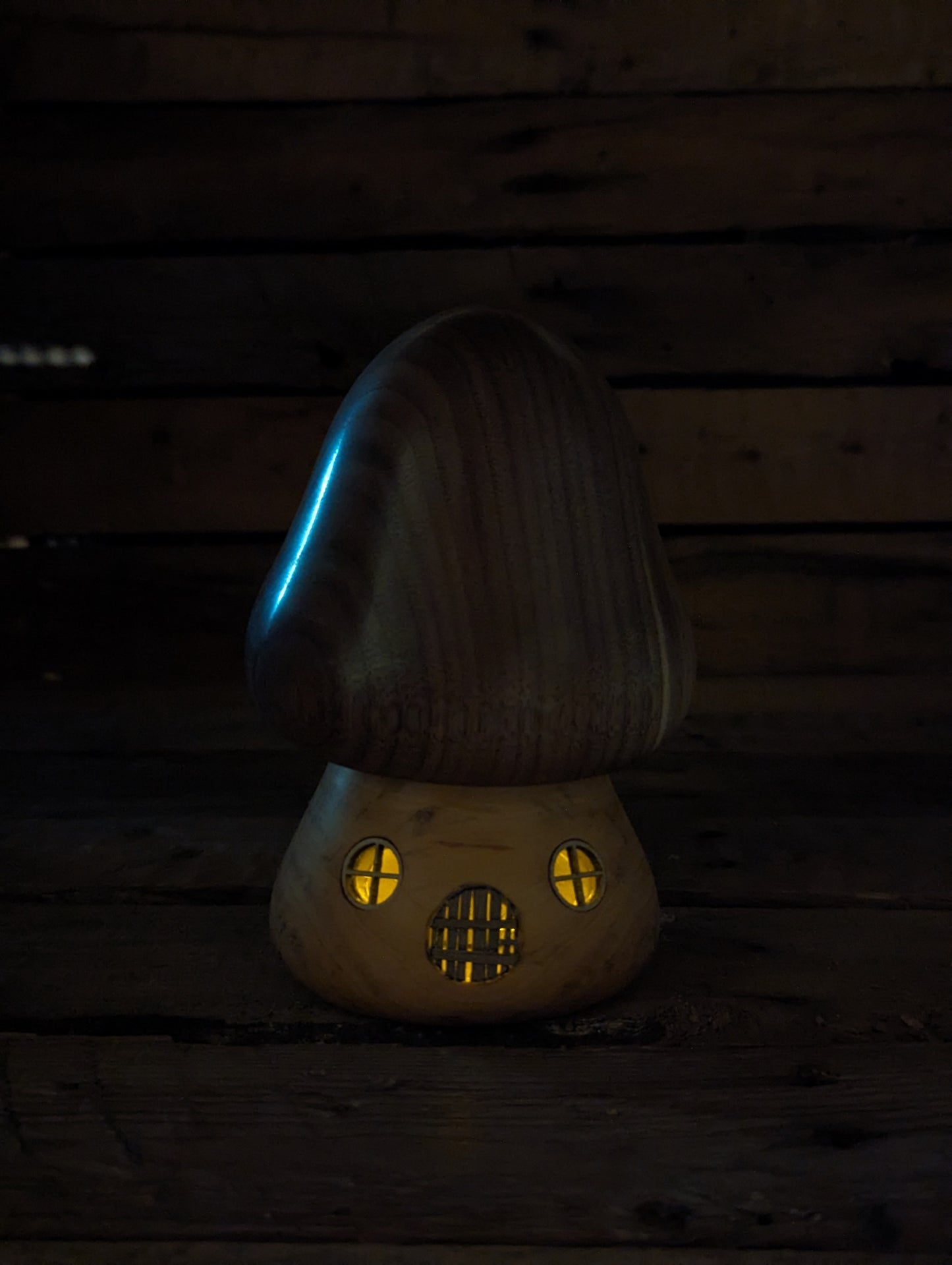 Gnome home 6