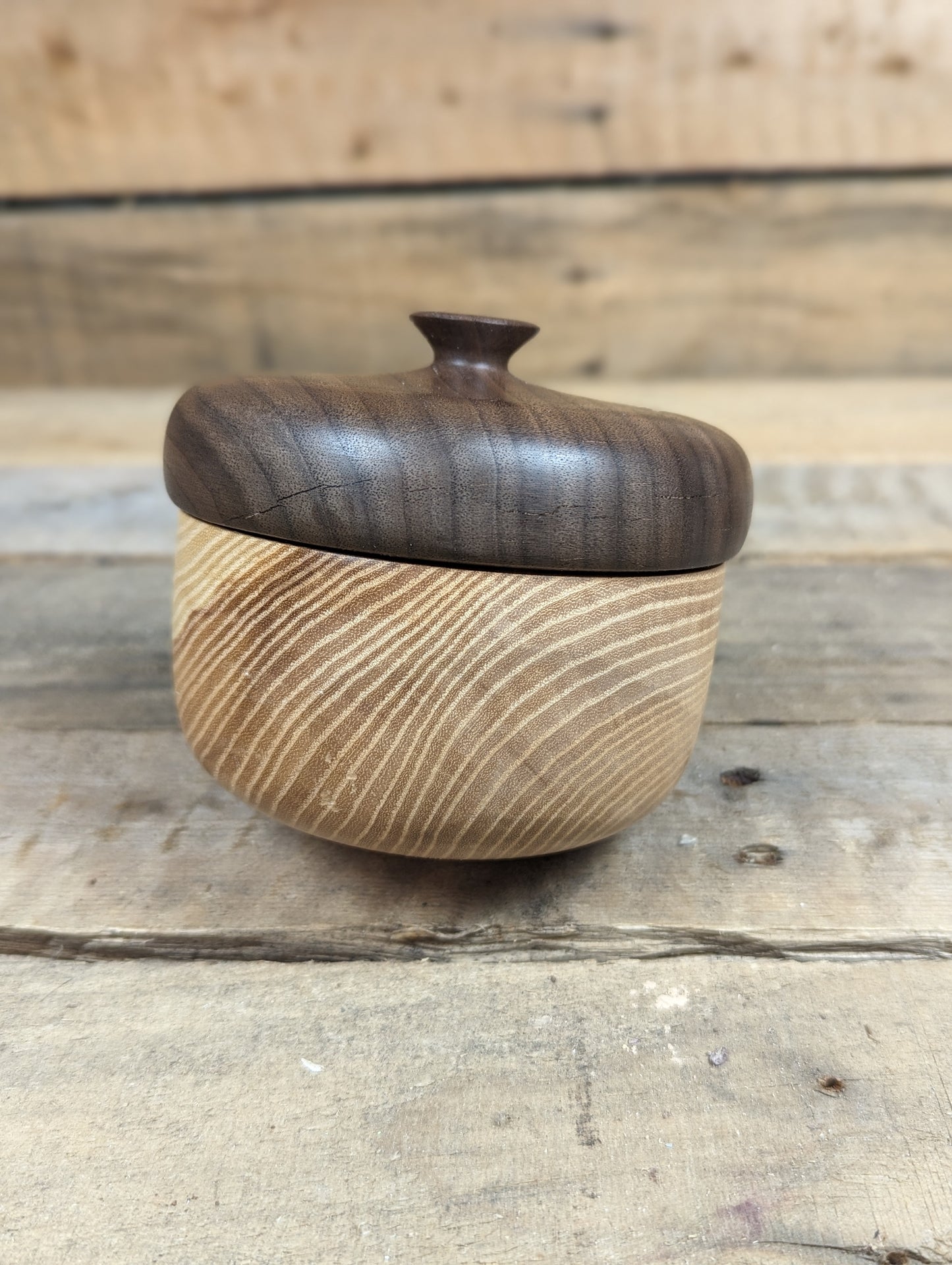Chubby acorn pot C