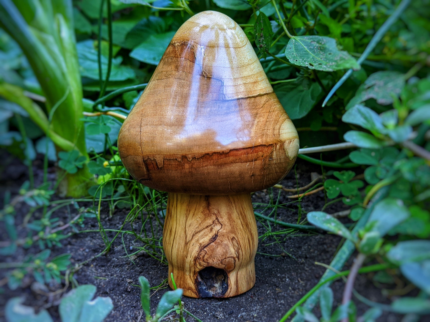 Crab Apple & Olive Wood Mushroom