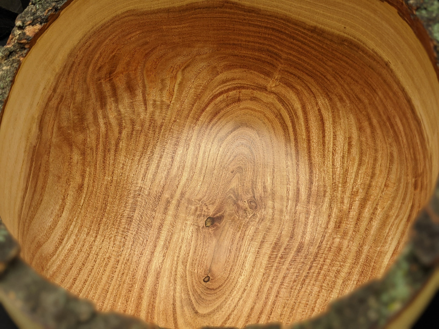 Live edge Honey Locust Bowl