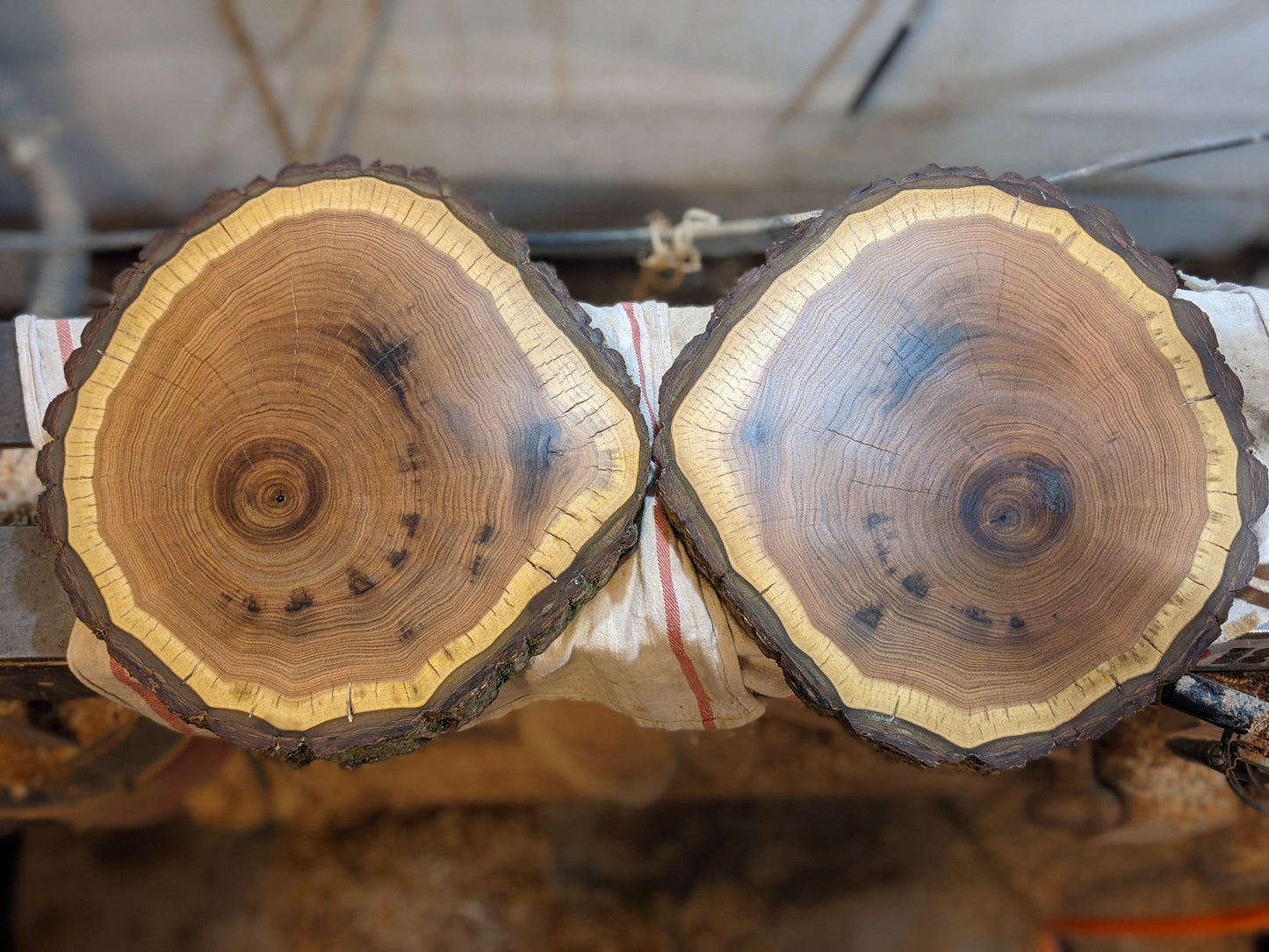 Live edge butternut walnut end grain cookie cutting board