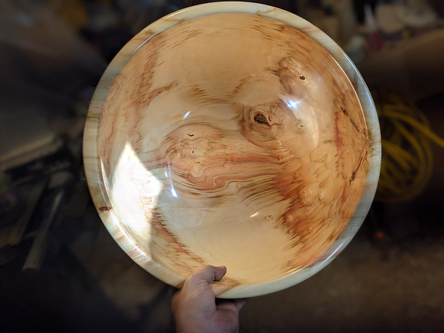 Large flamed box elder bowl