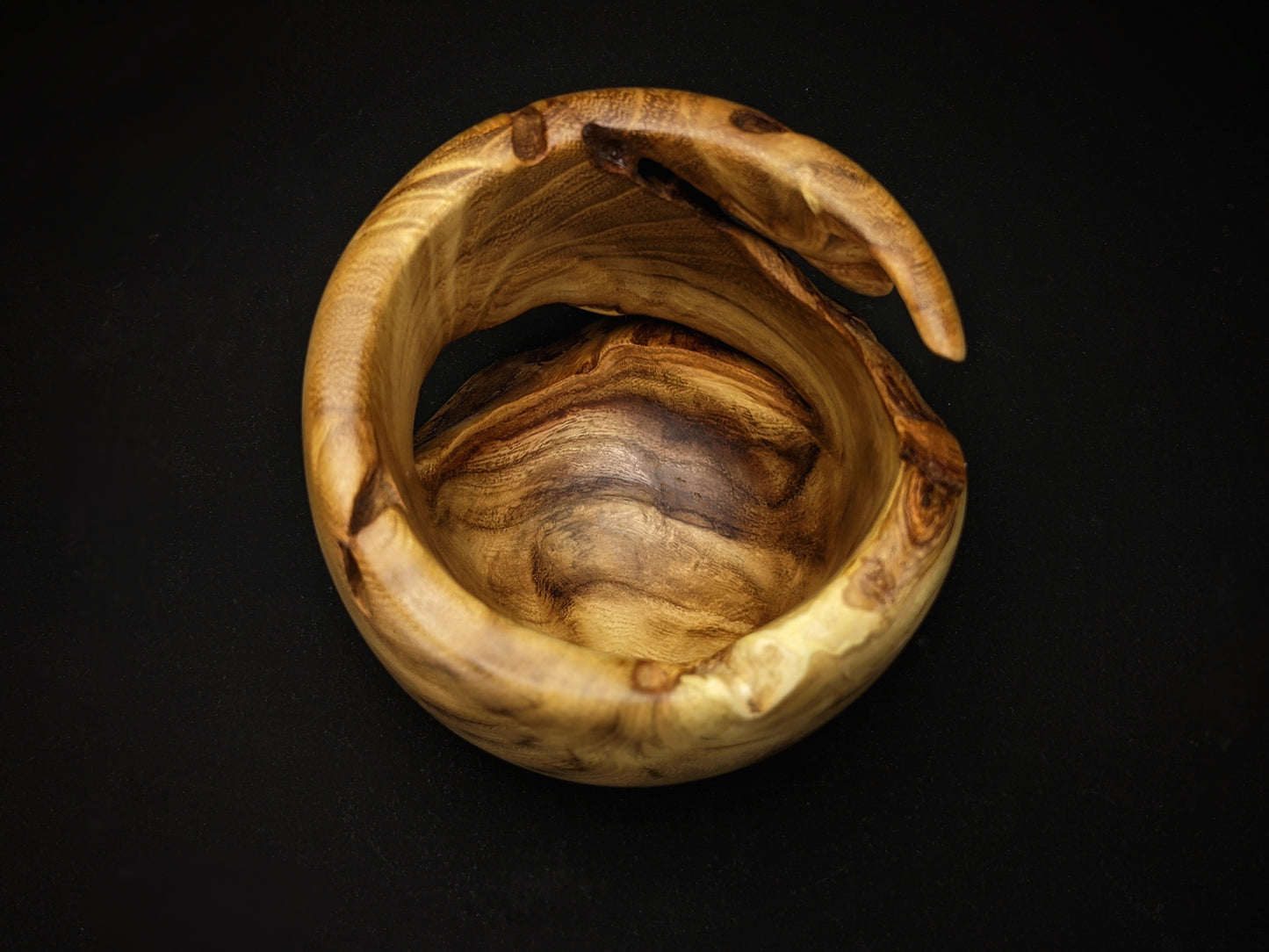 Chunky locust burl tumbler