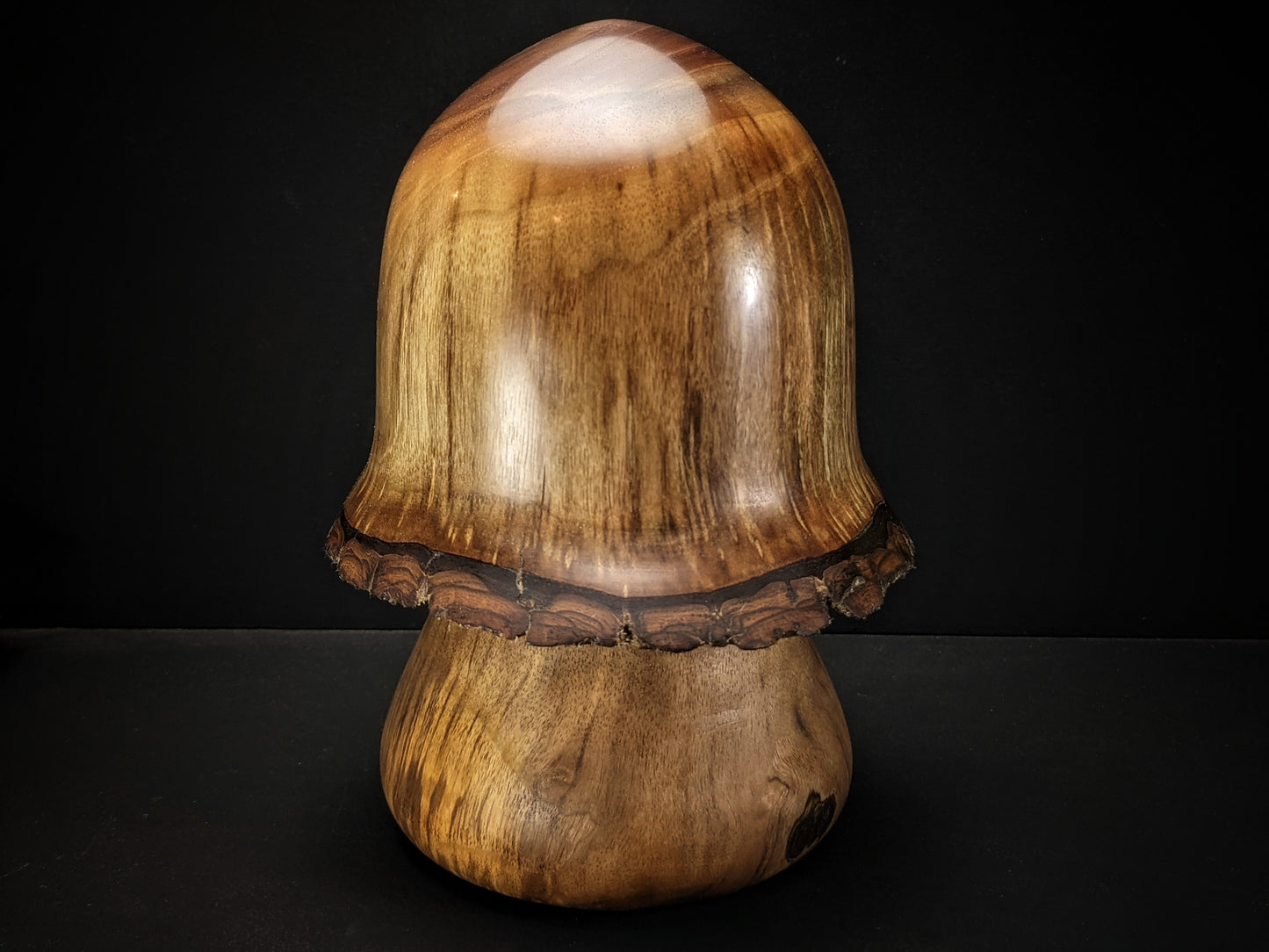 Black walnut gnome home