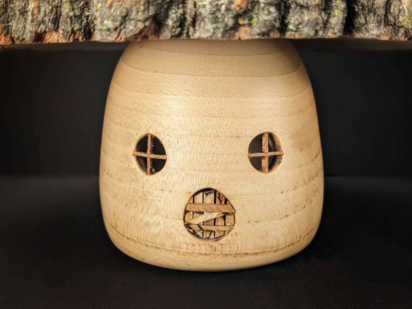 Live edge ambrosia maple and Beechwood gnome home