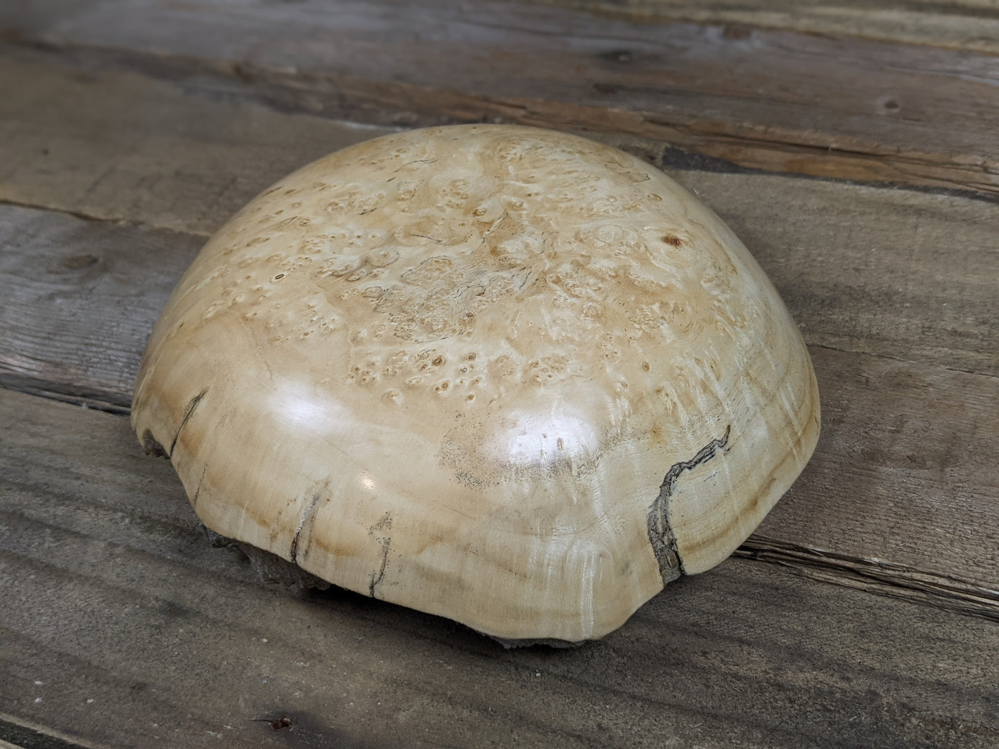 Natural edge maple burl catch-all
