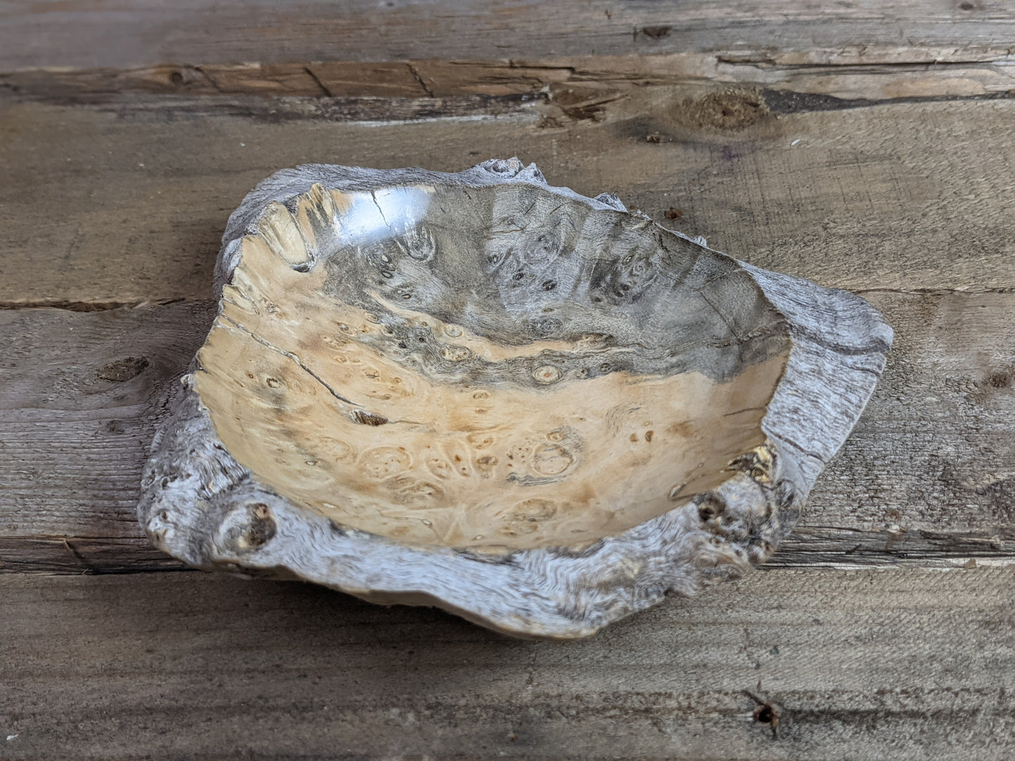Small natural edge maple burl ring dish