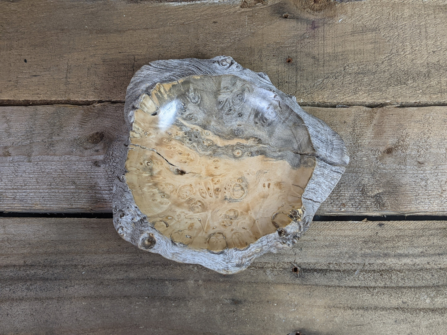 Small natural edge maple burl ring dish