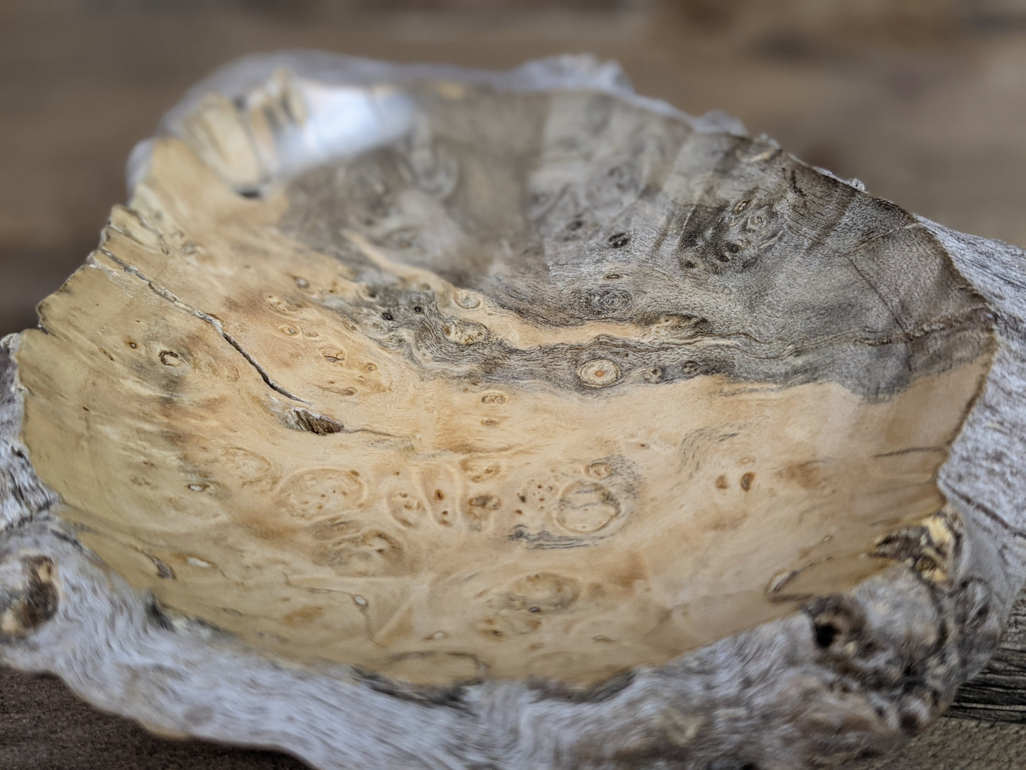 Small natural edge maple burl ring dish