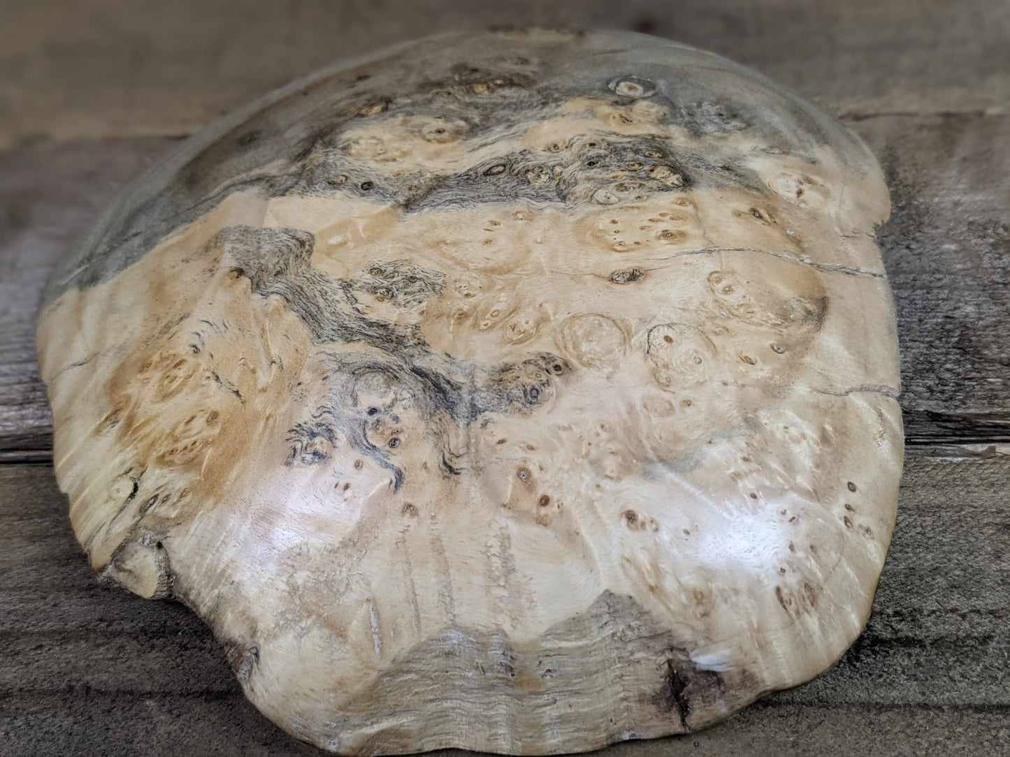 Small natural edge maple burl ring dish