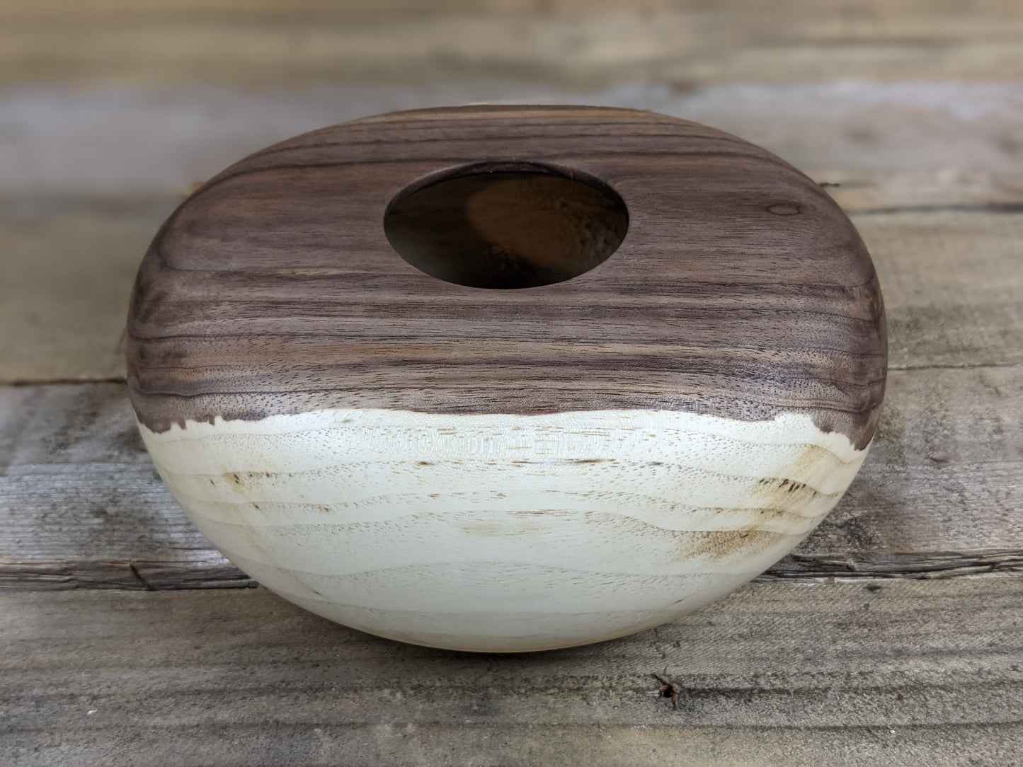 Young black walnut hollow form