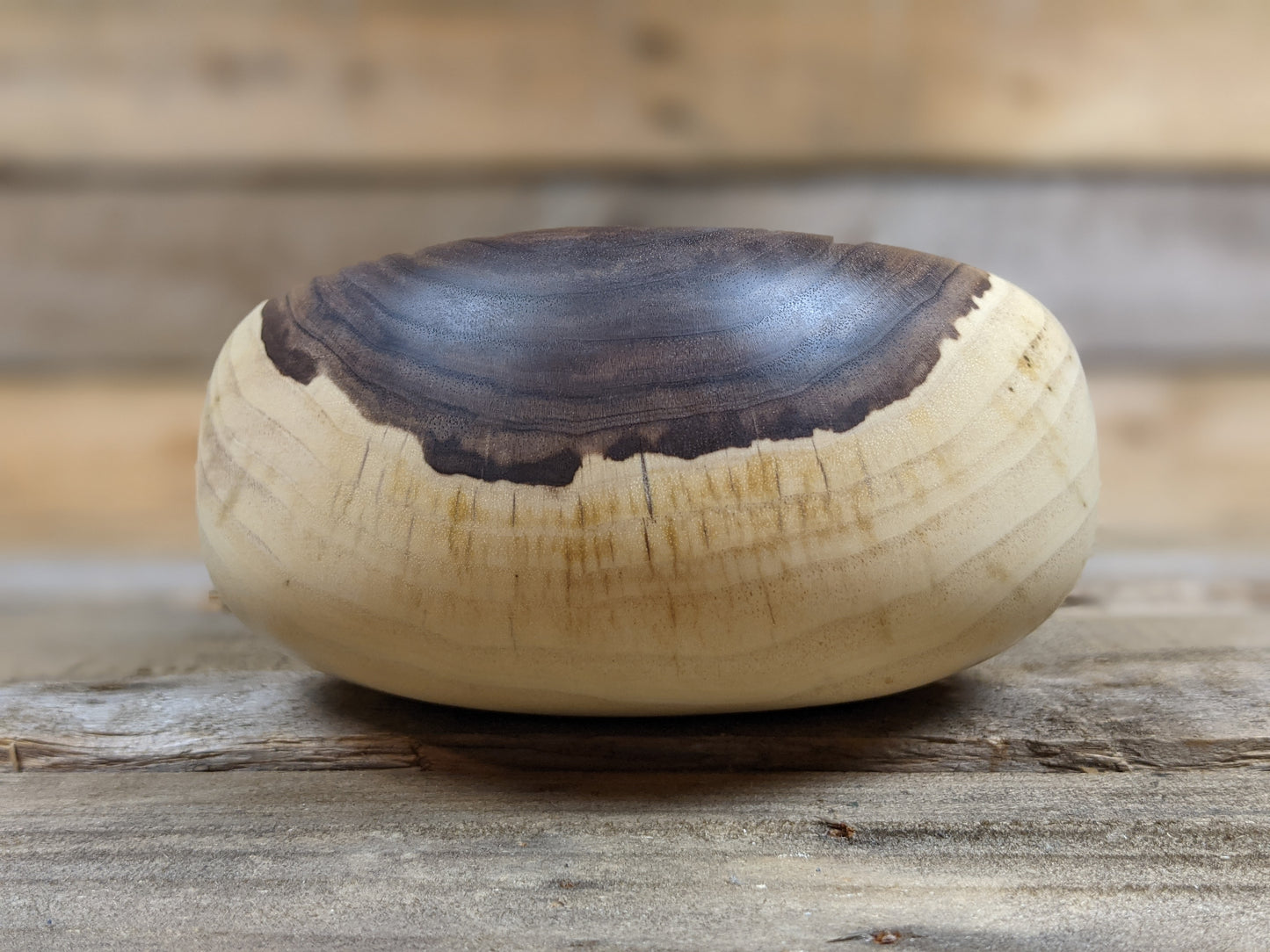 Young black walnut hollow form