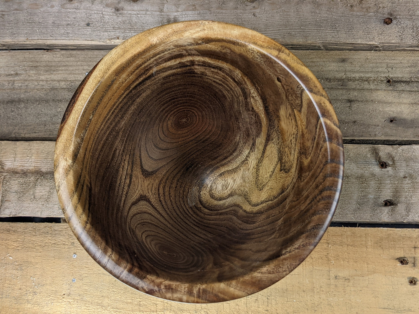 Ebonized honey locust decorative dry vase