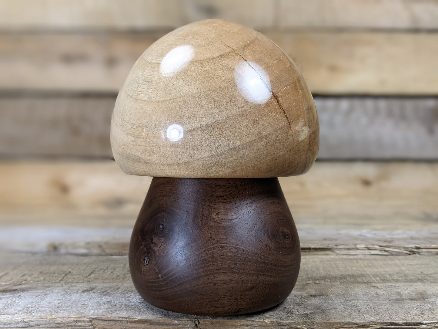 Button topped silver maple and black walnut gnome home
