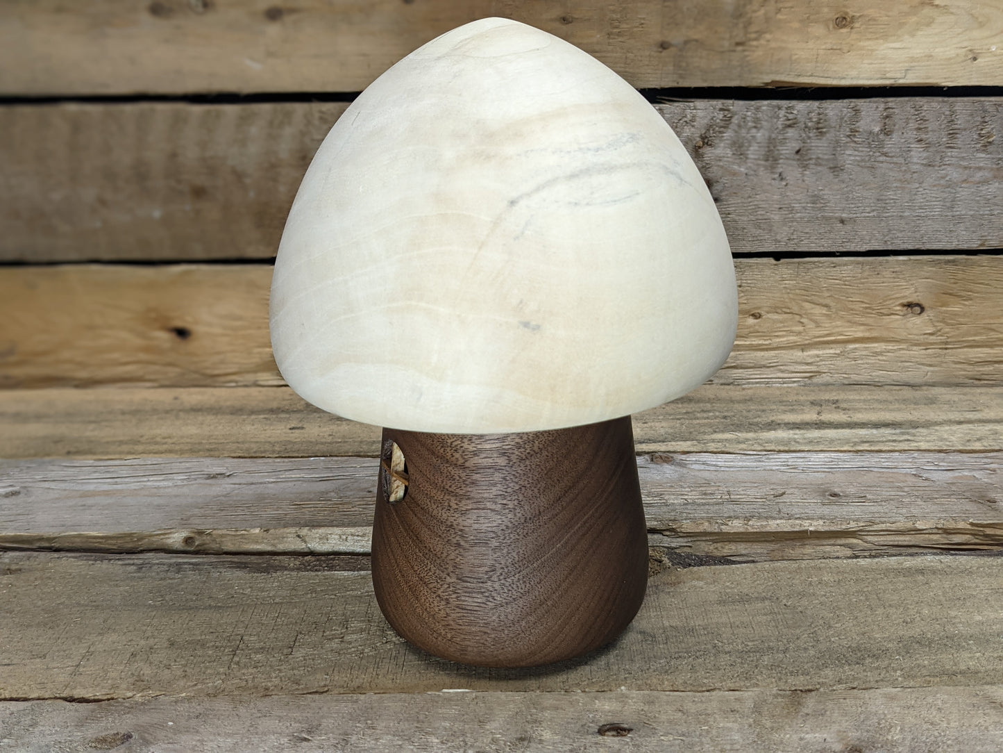 Black walnut and box elder gnome home