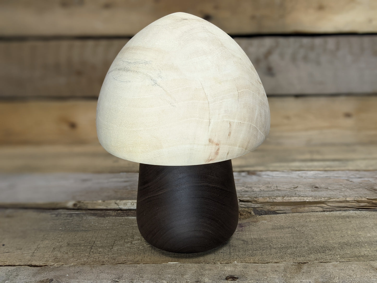 Black walnut and box elder gnome home