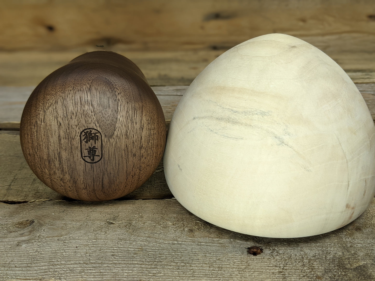 Black walnut and box elder gnome home