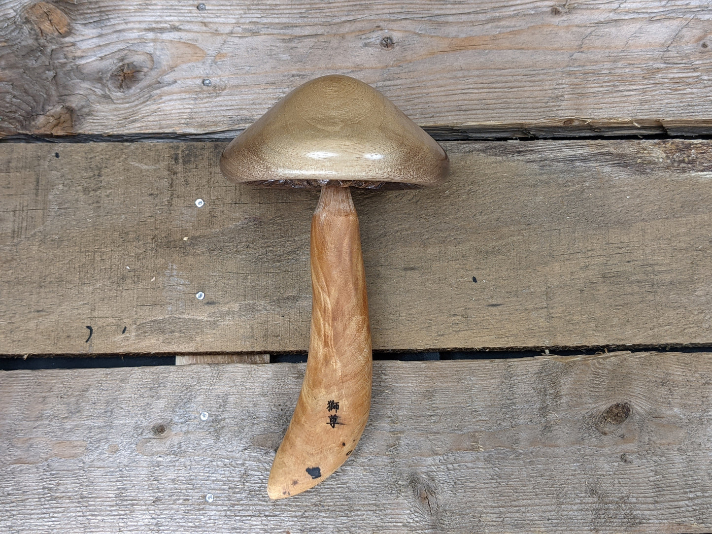Black walnut and figured spalted maple darning mushroom