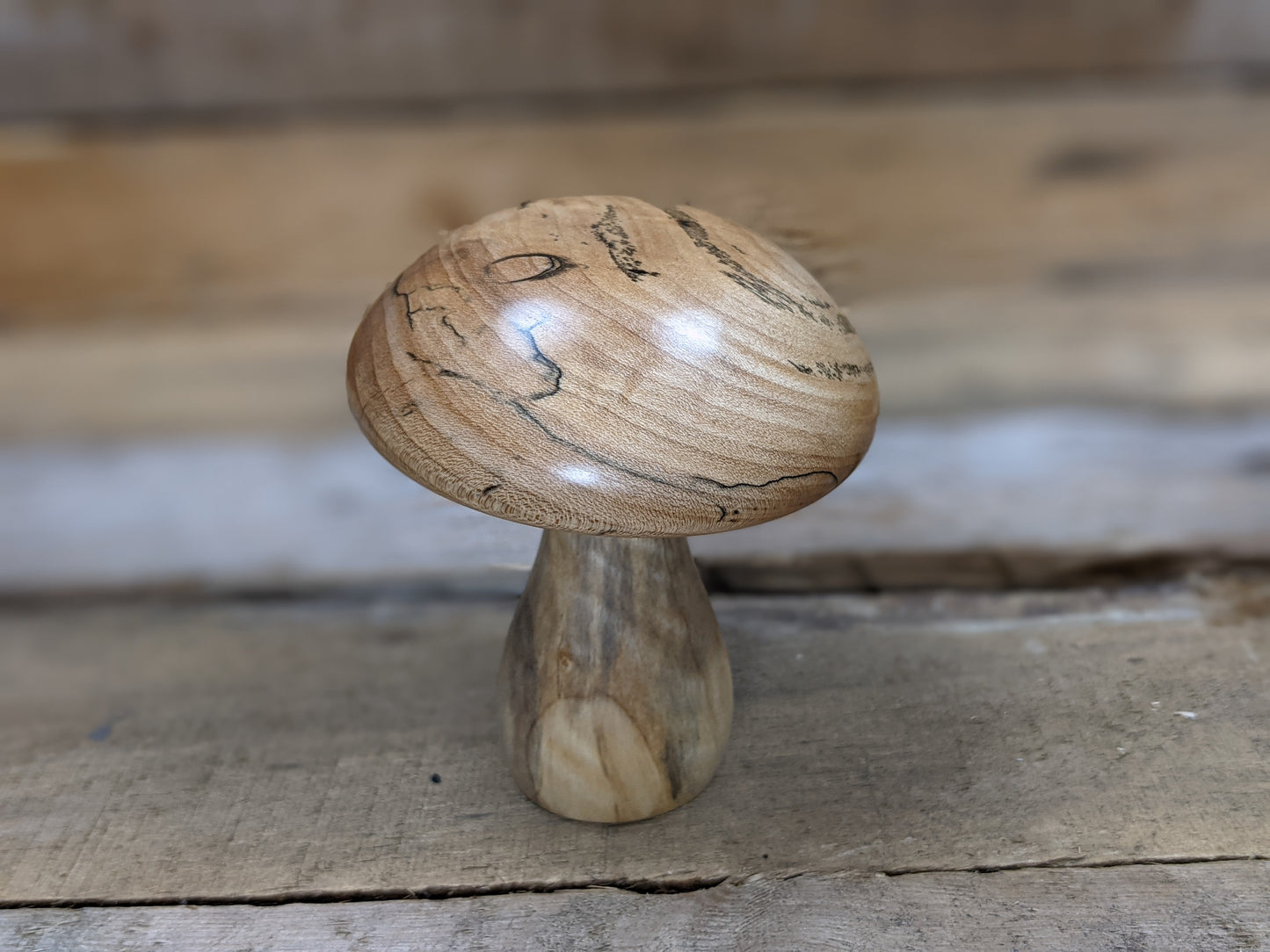 Figured, spalted maple and cottonwood mushroom