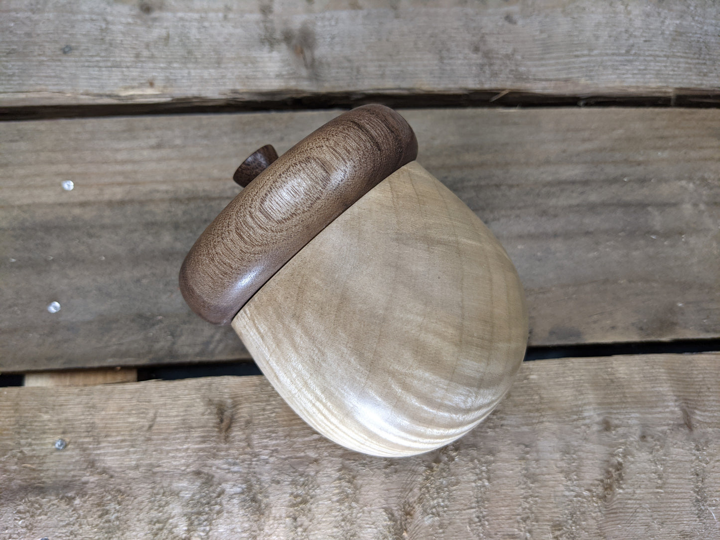 Chubby lidded acorn box