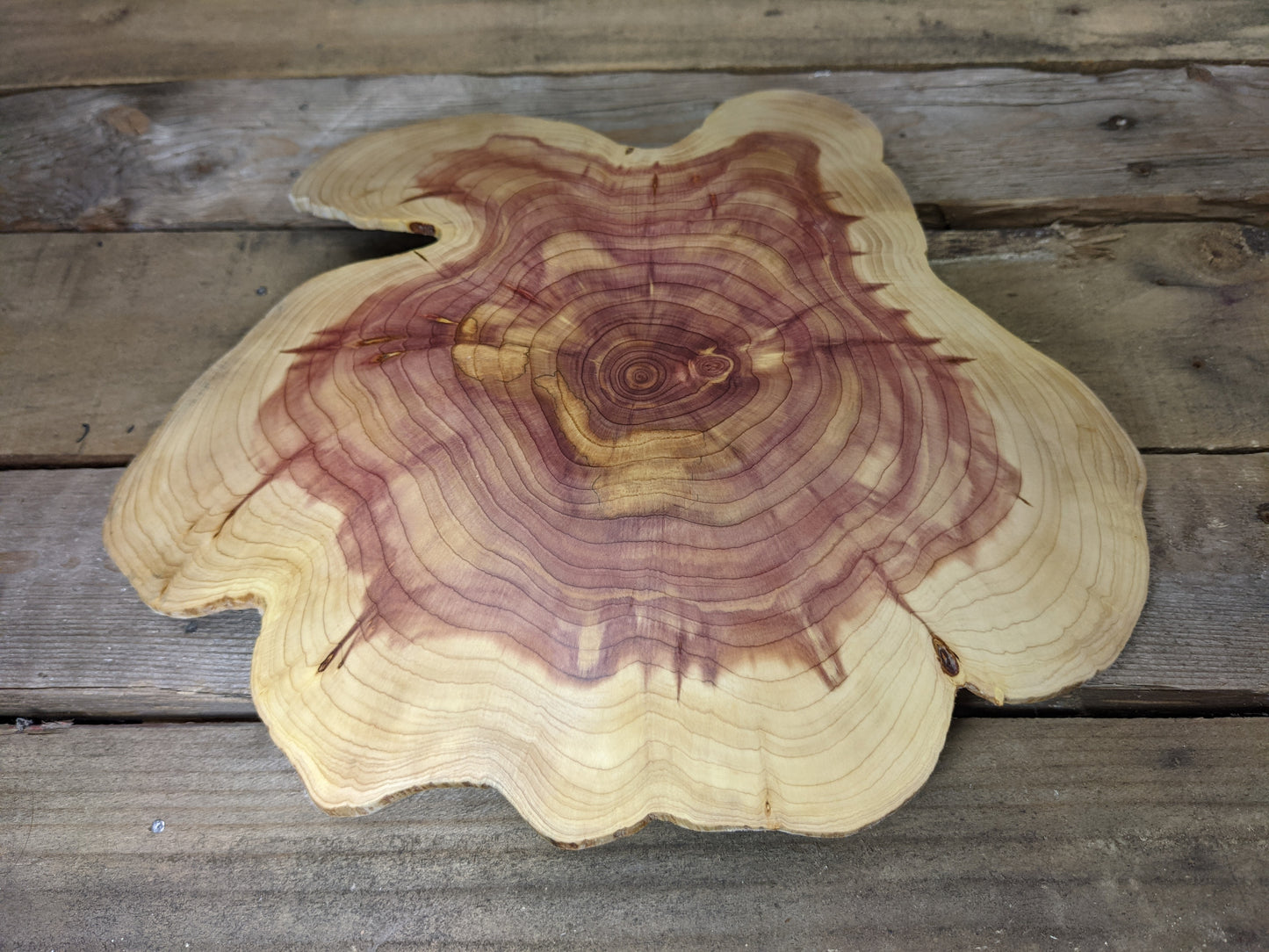 Natural edge endgrain juniper dish