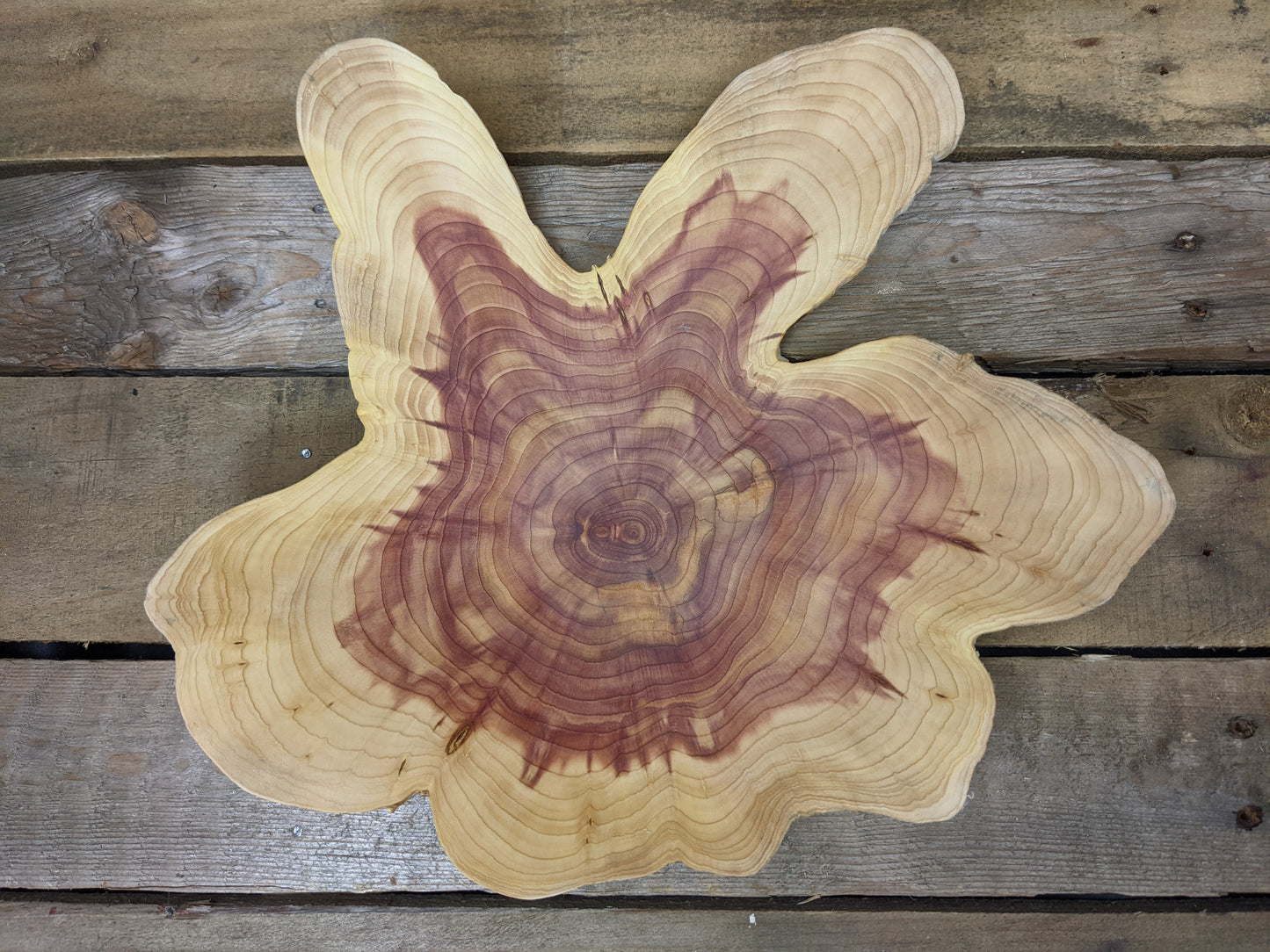 Natural edge endgrain juniper dish