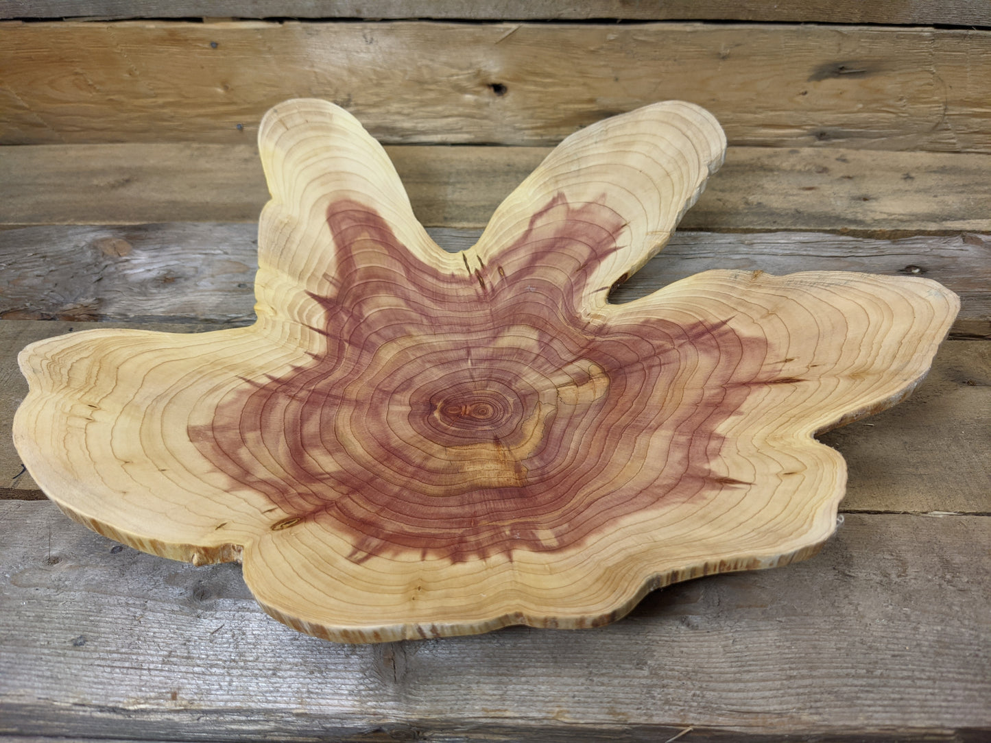 Natural edge endgrain juniper dish