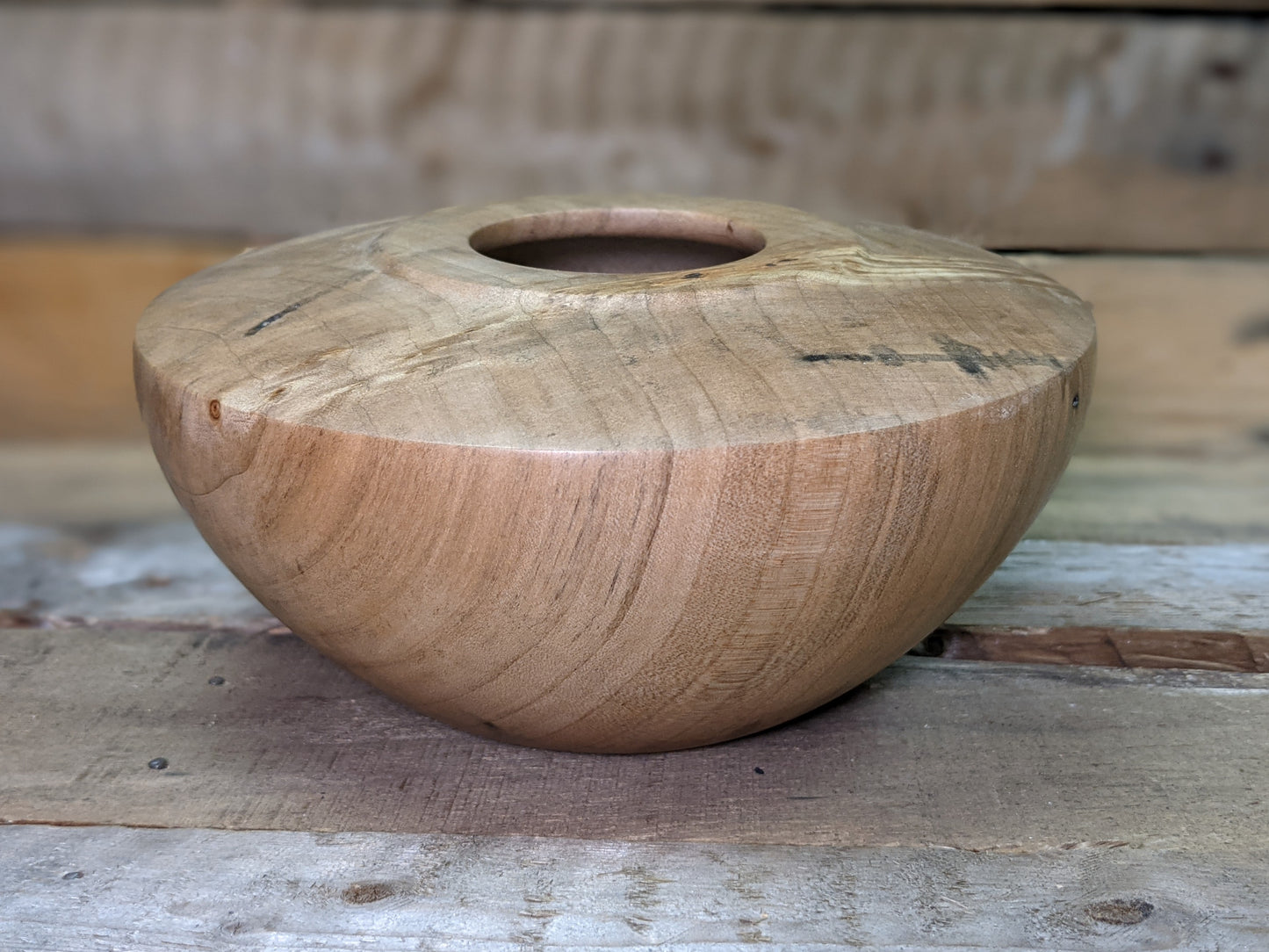 Silver maple hollow form