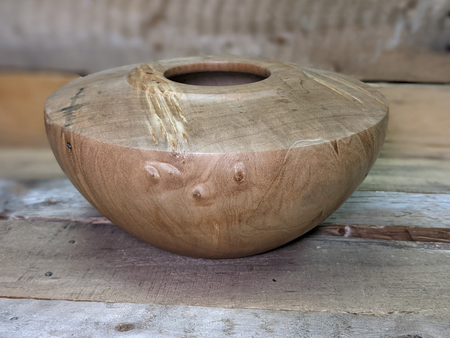 Silver maple hollow form