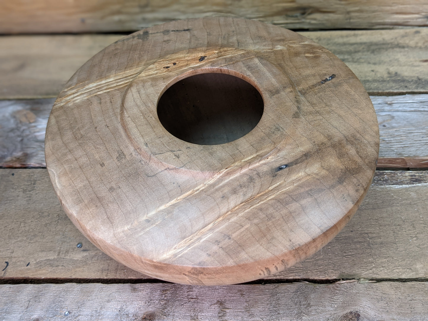 Silver maple hollow form