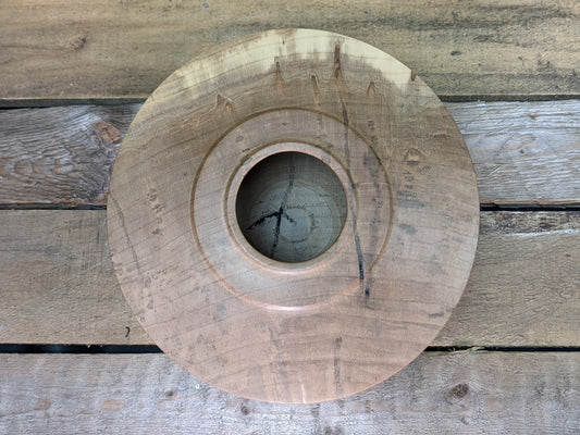 Silver maple hollow form