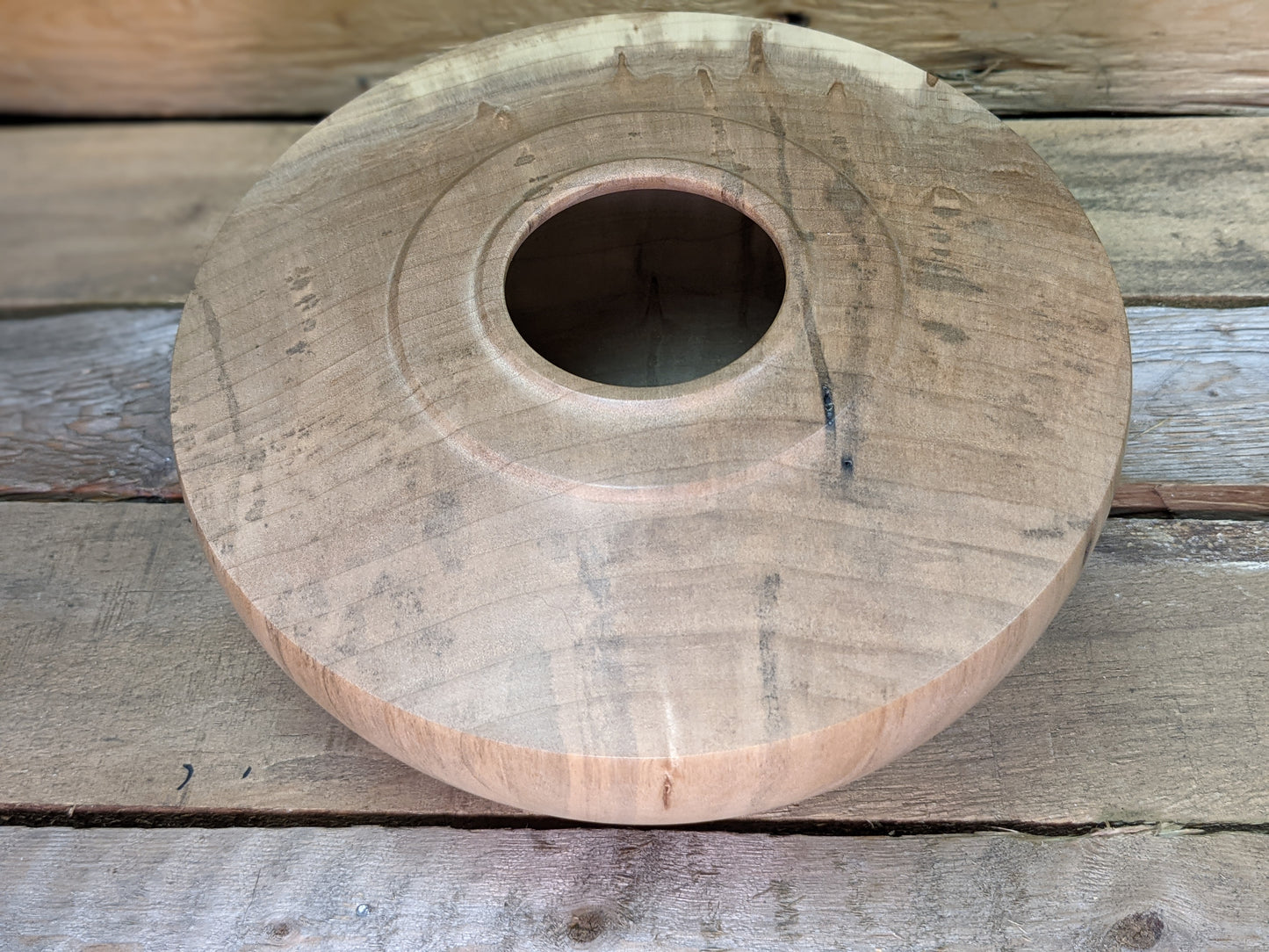 Silver maple hollow form