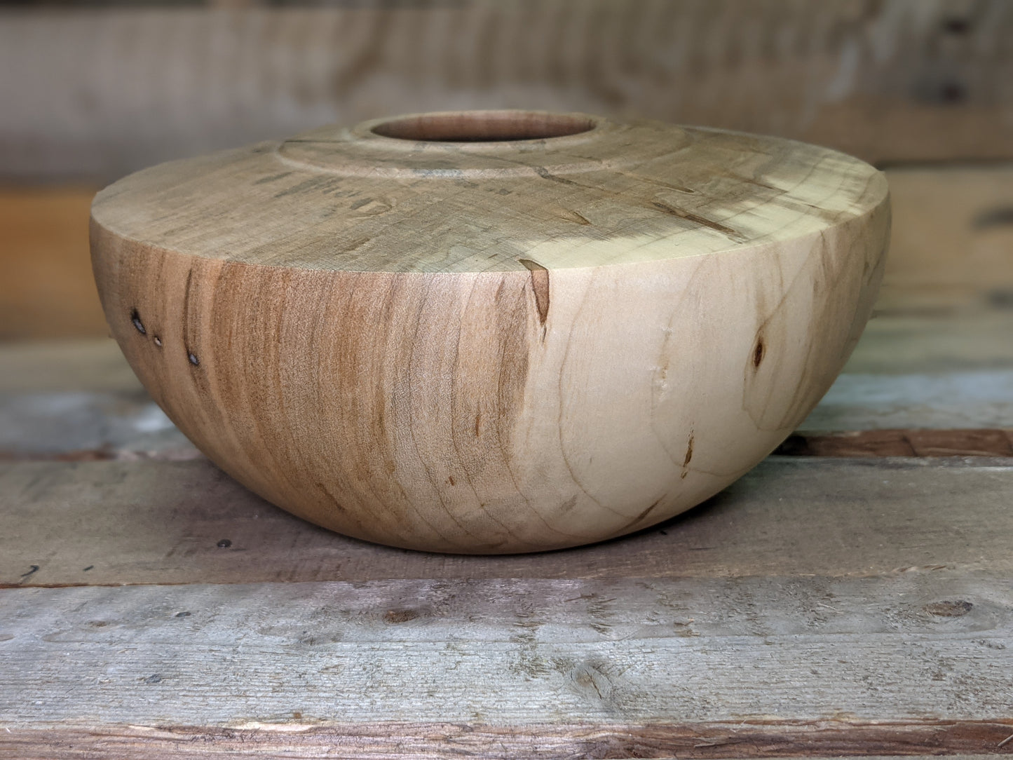 Silver maple hollow form