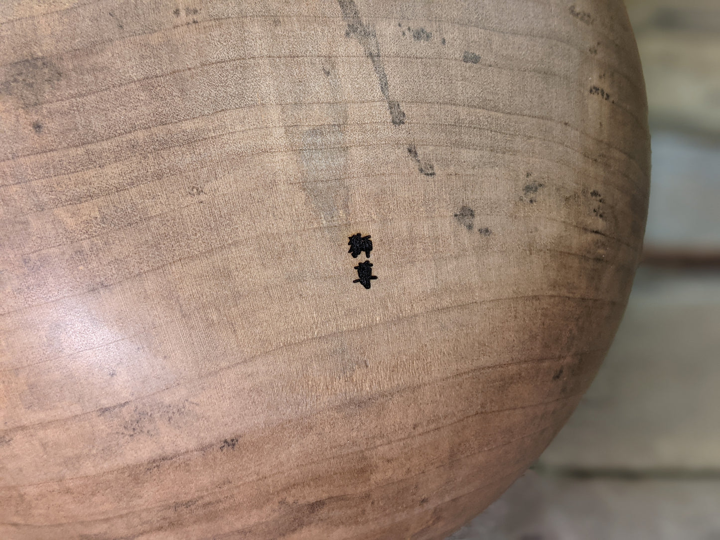 Silver maple hollow form