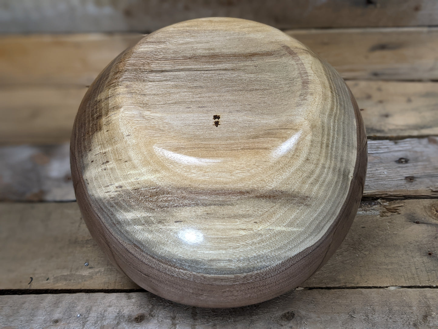 Round black walnut hollow form