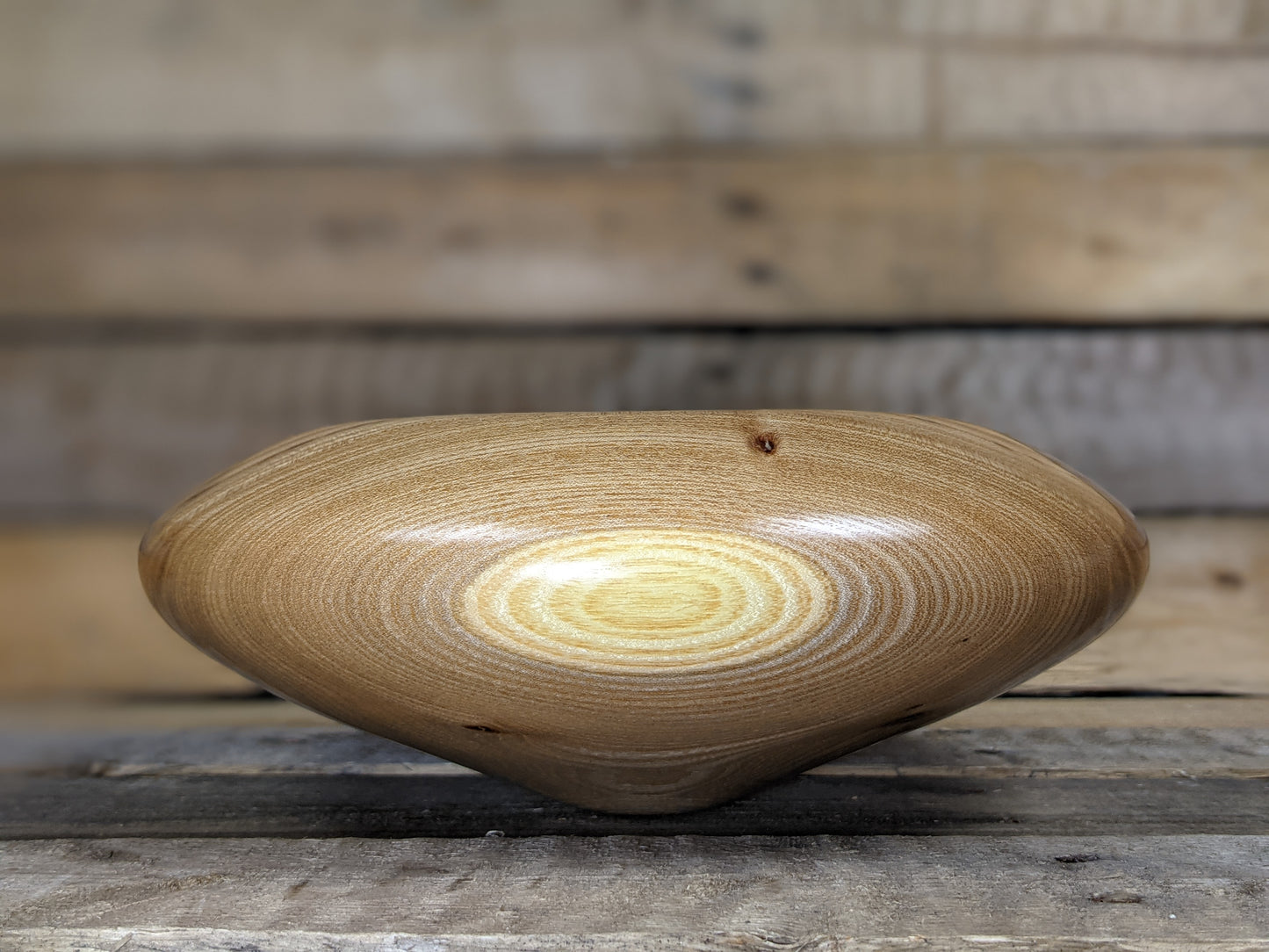 Siberian elm hollow vessel