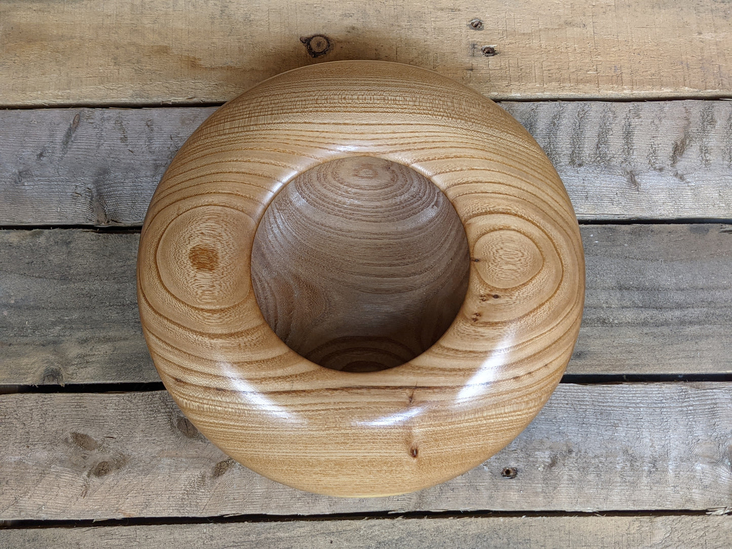 Siberian elm hollow vessel