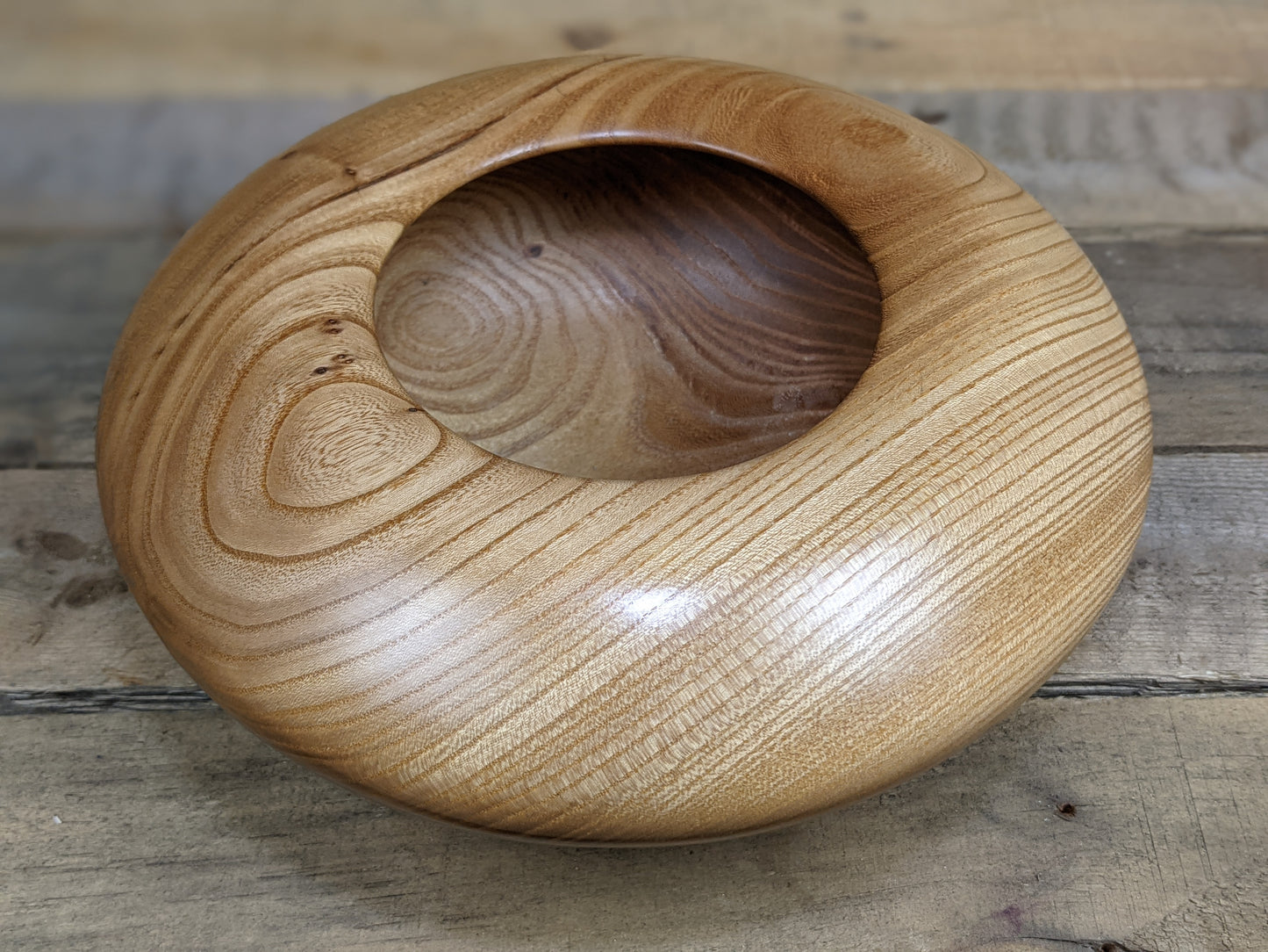 Siberian elm hollow vessel