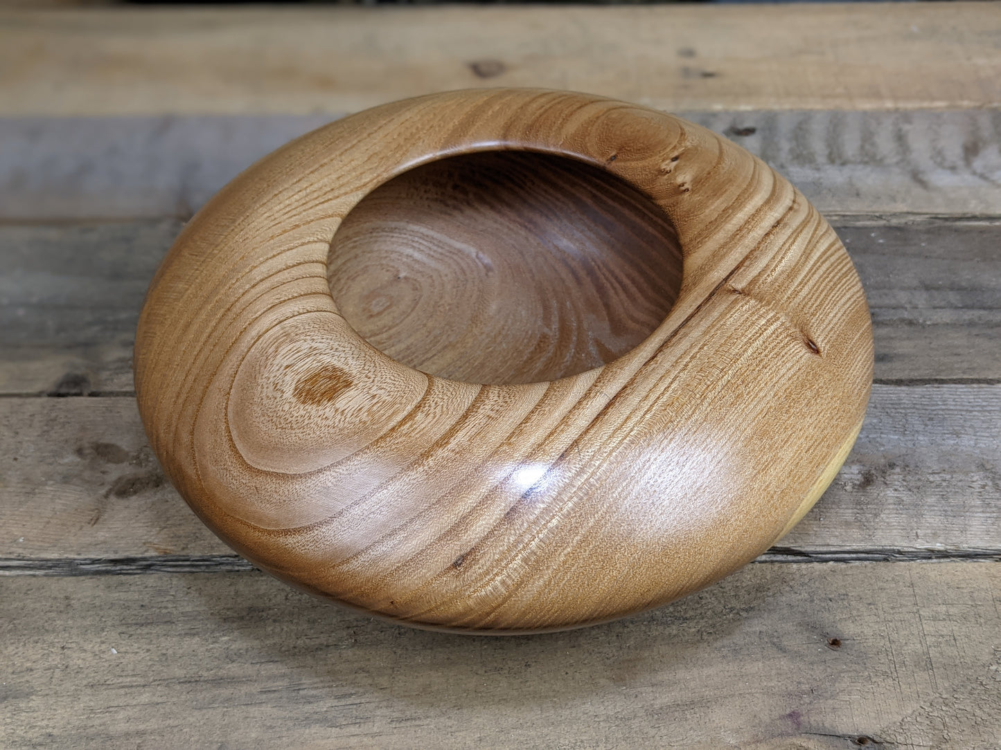 Siberian elm hollow vessel