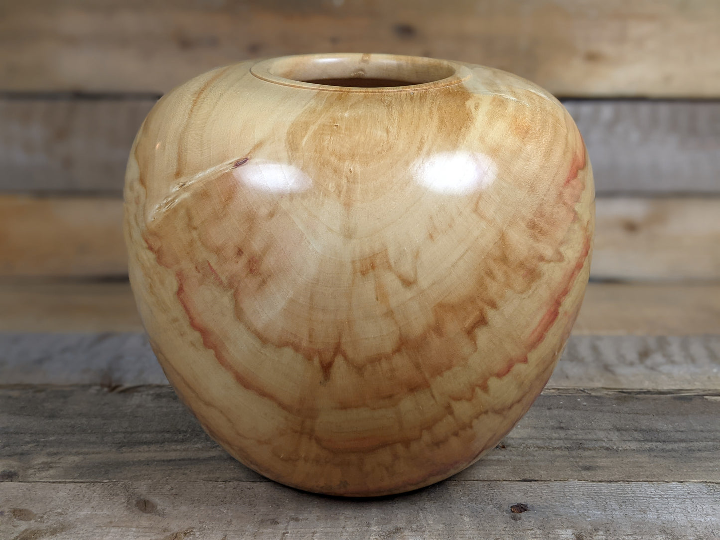 Chunky box elder hollow form