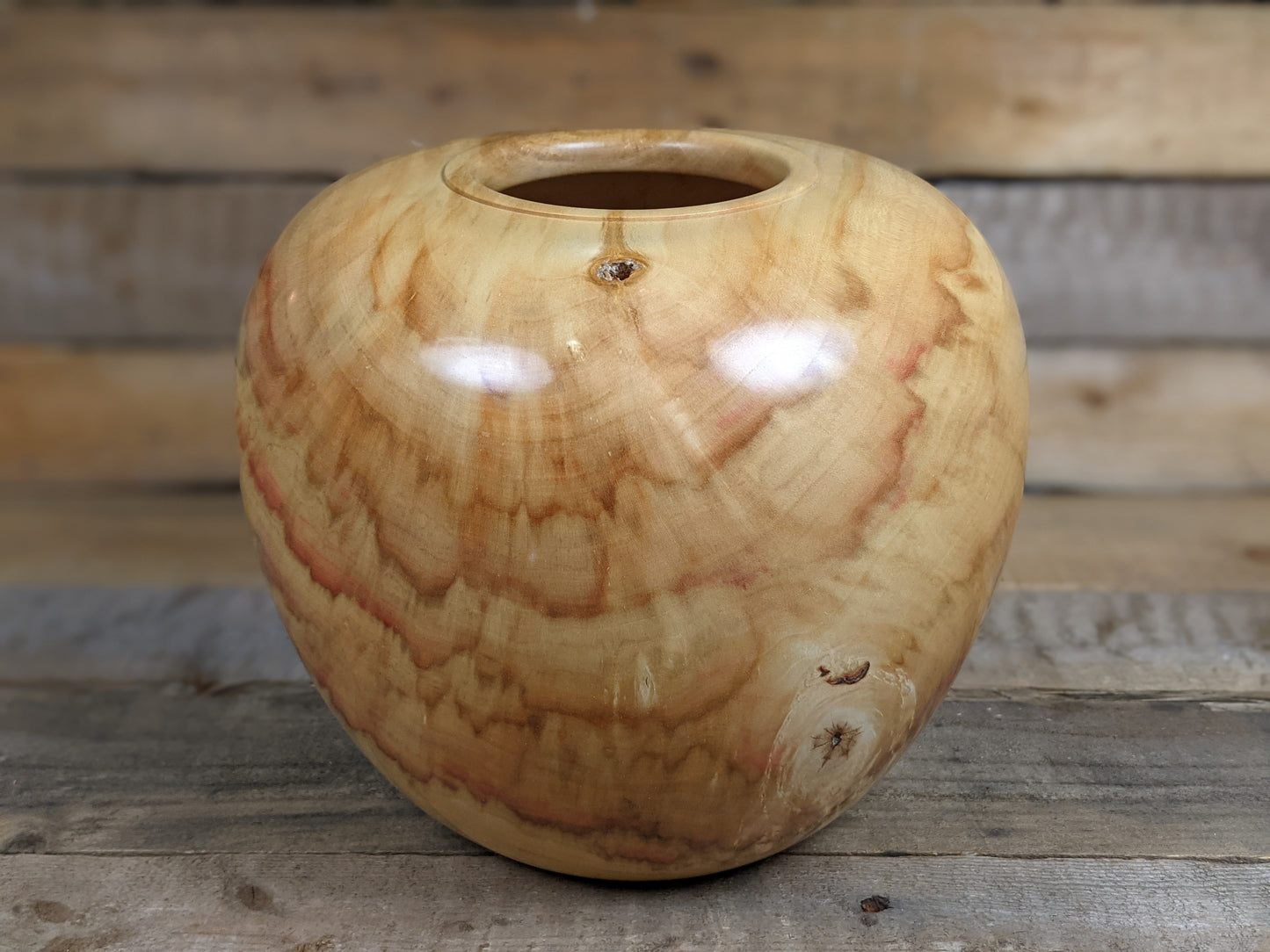 Chunky box elder hollow form