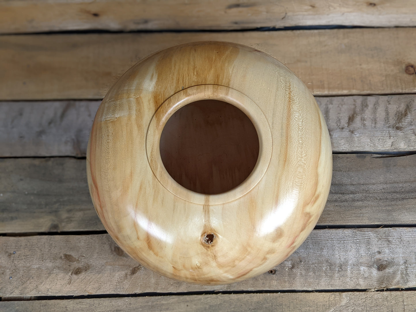 Chunky box elder hollow form