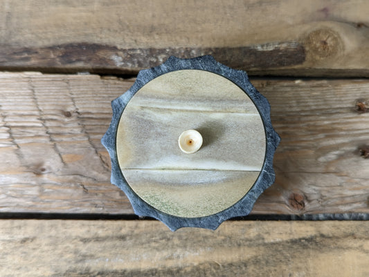 Stone, bone and antler fluted box