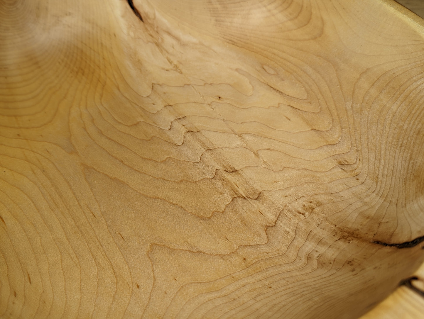 Large maple crotch bowl