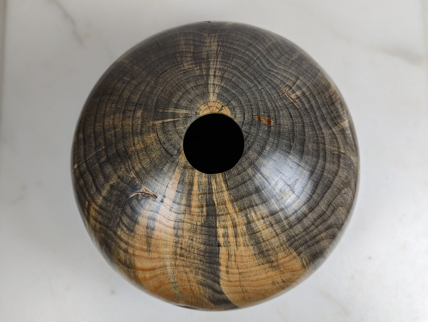 Vibrant pine hollow form