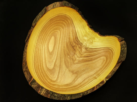 Live edge honey locust bowl