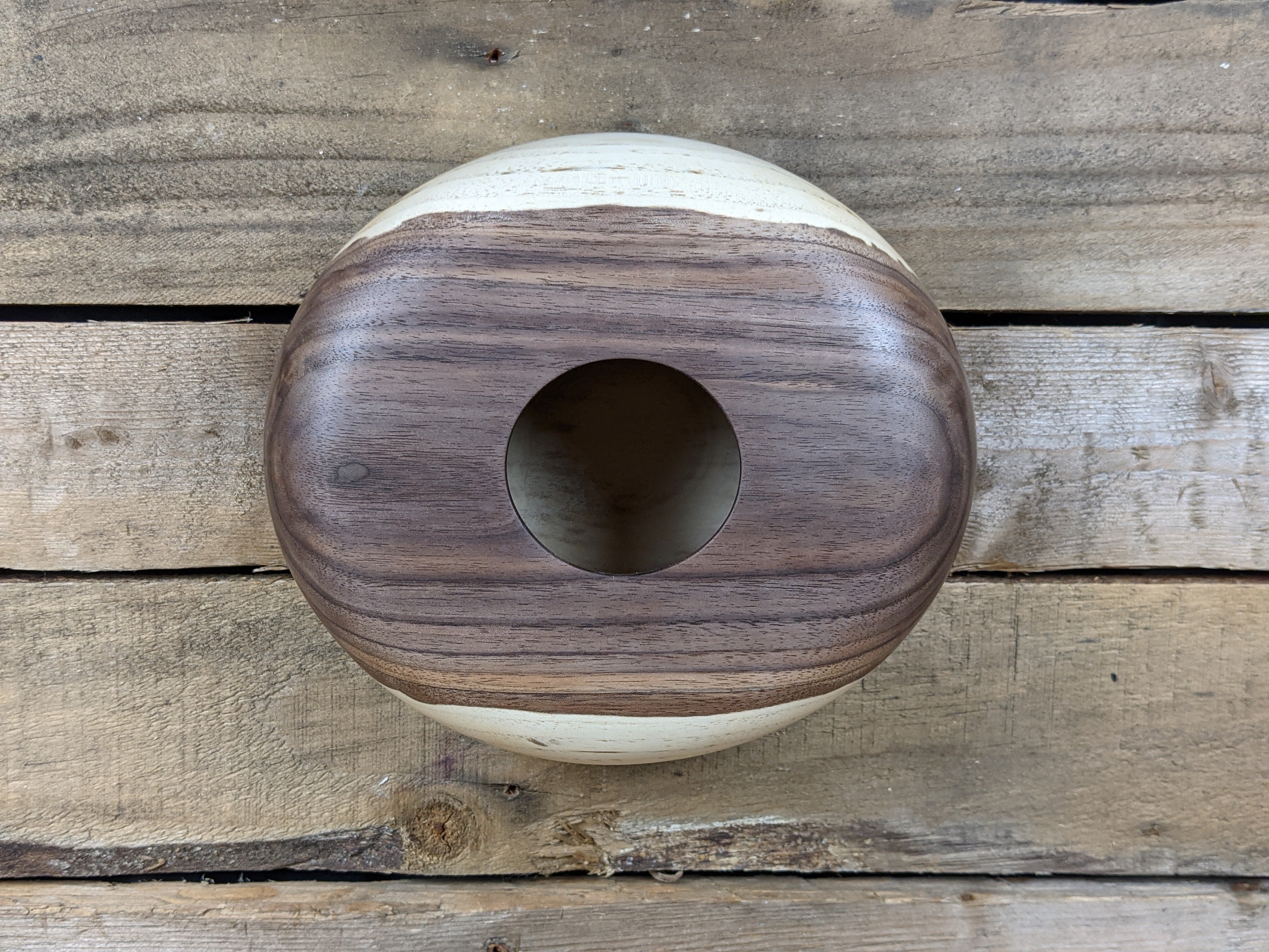 Young black walnut hollow form