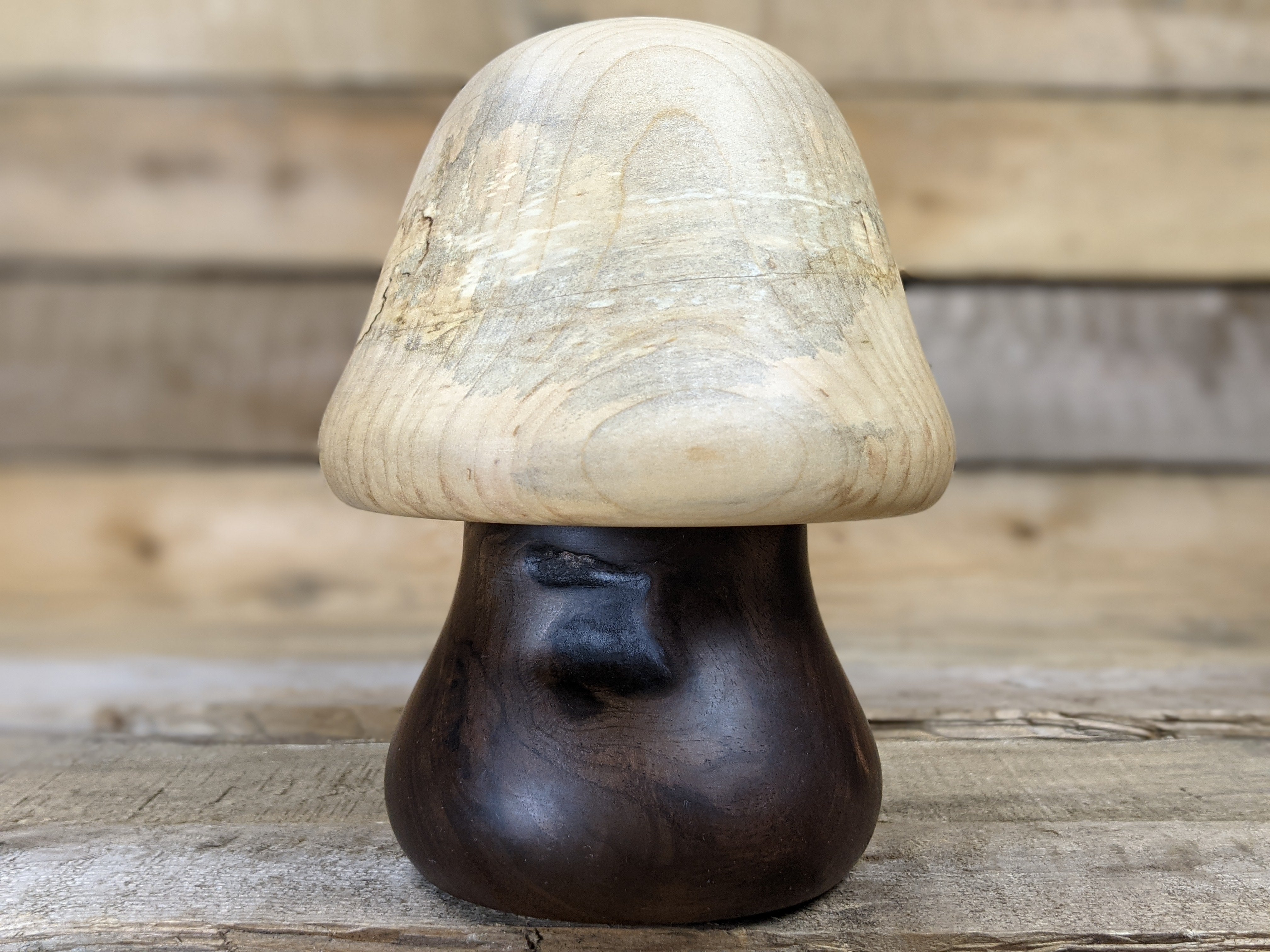 Funky mushroom gnome home